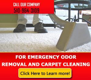 Carpet Cleaning Hayward, CA | 510-964-3109 | Fast Response