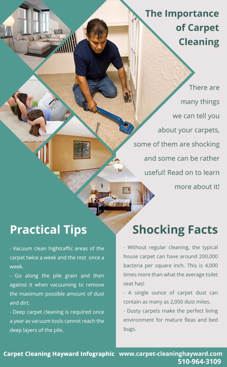 Carpet Cleaning Hayward Infographic