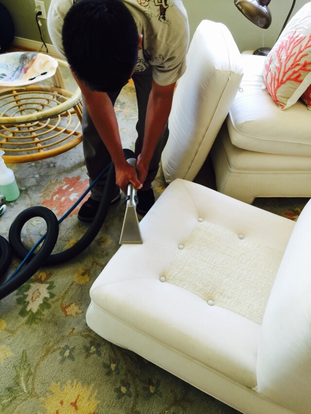 Upholstery Cleaning in Hayward
