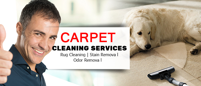 Carpet Cleaning Services in California